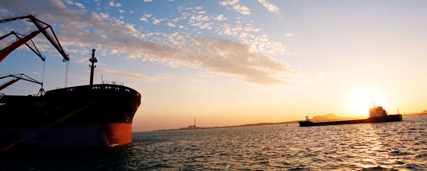 浙江省百強企業榜單出爐！萌恒榮列榜單